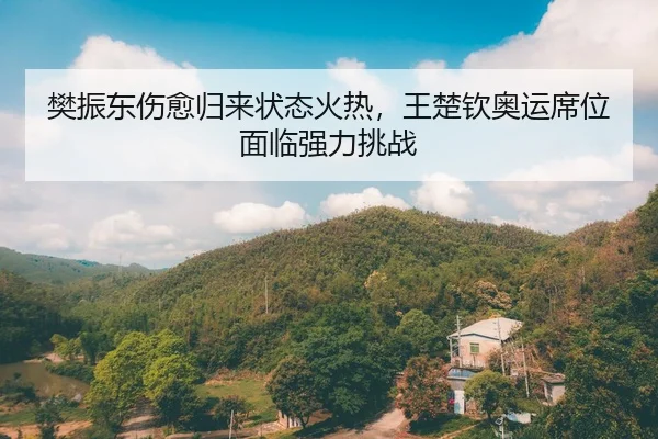 樊振东伤愈归来状态火热，王楚钦奥运席位面临强力挑战