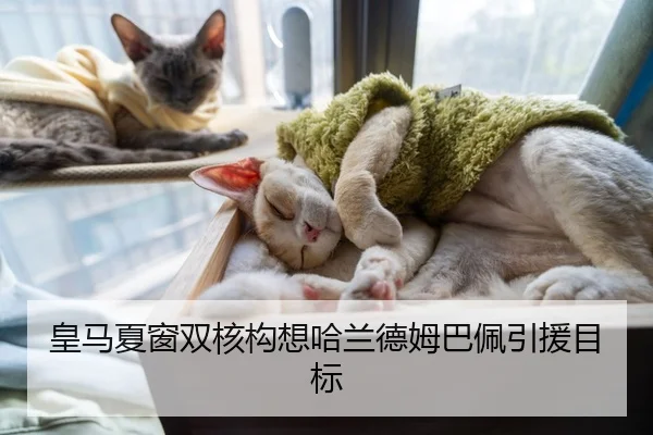 皇马夏窗双核构想哈兰德姆巴佩引援目标